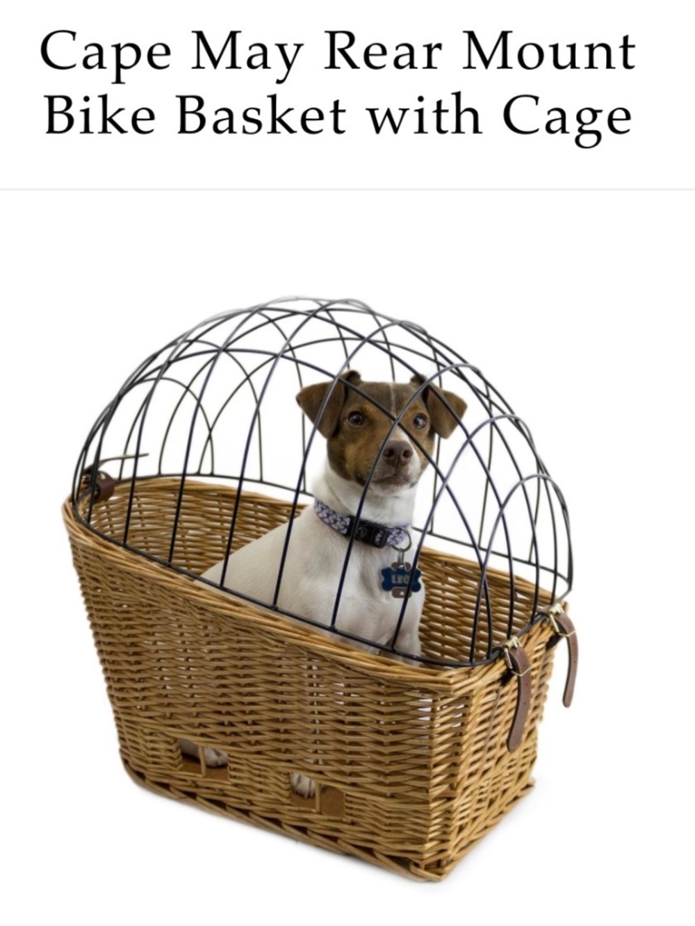 Beach and Dog Co. Brand NEW rear mount bicycle basket for Dogs